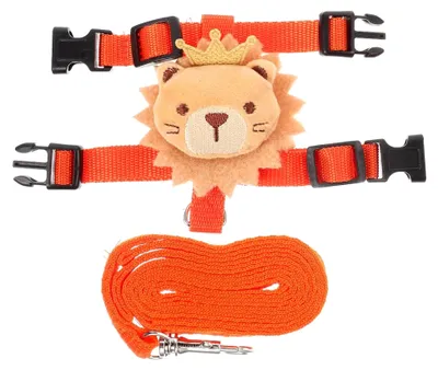 Produktbild von Verstellbares Haustiergeschirr und Leinen-Set aus Polyester für kleine Haustiere und Kaninchen, praktische Sommerleine für alltägliche Spaziergänge, 1 Set in Orange