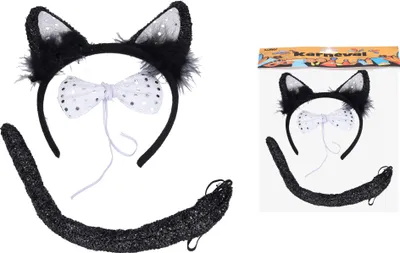 Immagine prodotto di Set carnevale - gatto