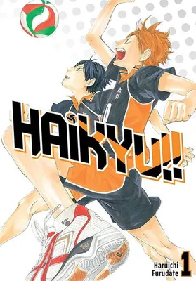 Obrázek produktu pro Haikyu!! Tom 1
