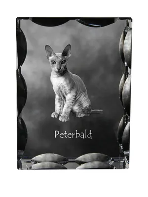 Produktbild von Peterbald Kristallrahmen mit Katze Art-Dog