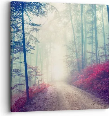 Produktbild von Bild auf Leinwand - Leinwandbild - Wald Baum Natur - 40x40cm - Wand Bild - Wanddeko - Wandbilder - Leinwanddruck - Bilder - Kunstdruck - Wanddekoration - Leinwand bilder - Wandkunst - AC40x40-3667