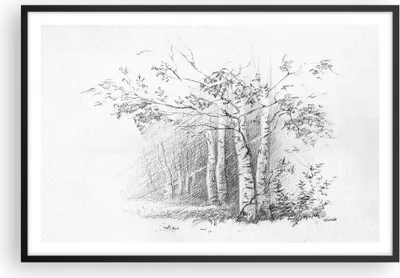 Produktbild von Gerahmtes Poster - Schwarzer Rahmen - Skizze Wald Birke - 91,5x61 cm - Wand Bild - Wanddeko - Wandbilder - Kunstposter - Wandposter - Bilderrahmen - Bilder - Kunstdruck - Wandbild - P2BAA91x61-4280