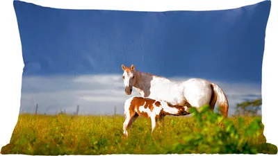 Produktbild von MuchoWow® Zierkissen Sofakissen Wohnzimmer Dekokissen 50x30 cm Pferde - Gras - Fohlen - Wohnzimmerdekoration - Polster mit Photo