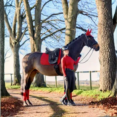 Image de Tapis de dressage LeMieux Suede, couleur : Chili, taille : L