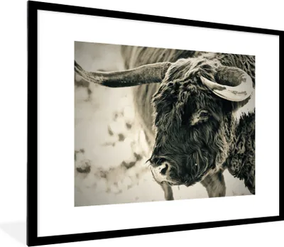 Produktbild von MuchoWow® Gerahmtes Poster Schottischer Highlander - Schnee - Hörner 80x60 cm - Poster mit Schwarzem Bilderrahmen Wandposter Rahmen Foto Bilder - Schlafzimmer-Dekorationen - Fotoposter