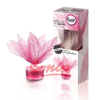 Produktbild von Dekorative Lufterfrischer duftende Blätter Ruby 50ml - Brait