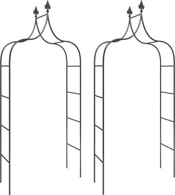 Produktbild von vidaXL Gartenbögen 2 Stk. Schwarz 120x38x260 cm Stahl