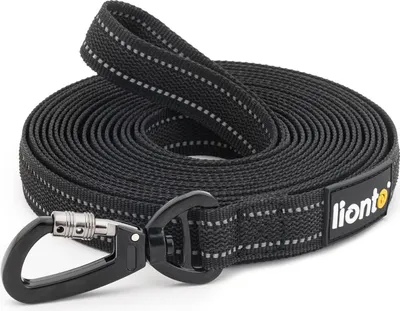 Produktbild von Hundenriem 10m mit Handlus und 360° Karabinerhaken - Reflektierende und Wetterbeständige Nylon-Hundenleine
