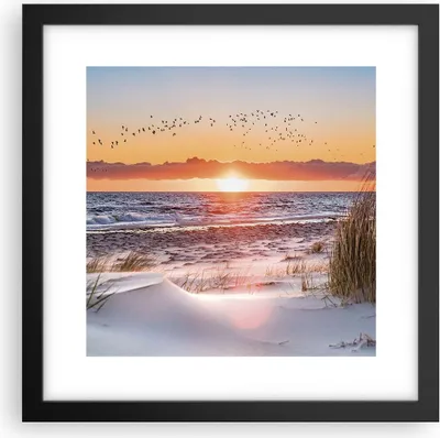 Produktbild von Gerahmtes Poster - Schwarzer Rahmen - Sonne Strand Vögel - 30x30 cm - Wand Bild - Wanddeko - Wandbilder - Kunstposter - Wandposter - Bilderrahmen - Bilder - Kunstdruck - P2BAC30x30-4727