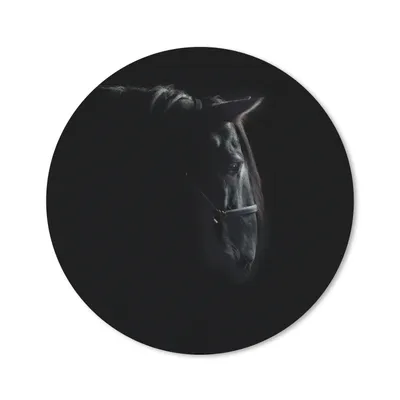 Produktbild von MuchoWow® Mauspad Mousepad Pferd - Leicht - Schwarz 40x40 cm - Mousepads - Maus Mat - Pad - Mausunterlage - Schreibtisch Accessoires