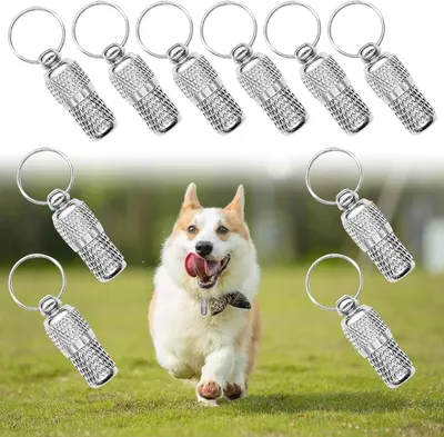 Productafbeelding van Huisdier ID-tags - Naam Adres Tags - Voorkom Huisdier Verlies - Roestvrij Staal Vat - 10 Stuks - Zilver