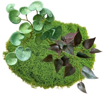 Image de Fleurs artificielles - vertes - lot de 50 g + 2 fausses plantes - idéal pour la décoration