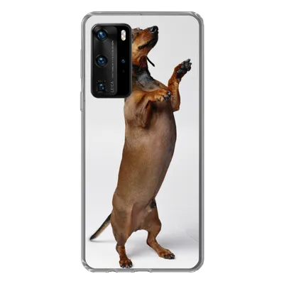 Produktbild von MuchoWow® Handyhülle Schutzhülle Hülle für Huawei P40 Pro Ein Dackel, der auf seinen beiden Hinterbeinen steht Silikon Softcase Handy Hülle - Schutz