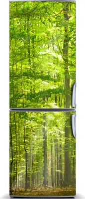 Produktbild von Tulup Kühlschrankdekoration - Magnetmatte - 70 cm x 190 cm - Magnet auf dem Kühlschrank - Buchenwaldlandschaften