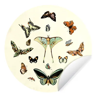 Produktbild von MuchoWow® Runde Wandtattoo - Wandsticker Tapete Aufkleber Schmetterling - Tiere - Vintage Ø 80 cm Selbstklebend und Repositionierbar - Wandaufkleber - Kreis - Mauerkreis - Wand Bilder - Wandsticker - Wohnzimmer Dekoration - Dekoration für die Wände - Aluminium - Babyzimmer