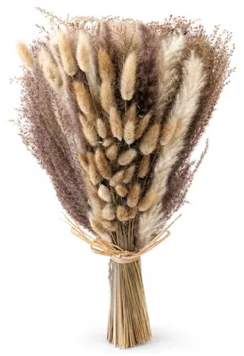 Trockenblumenstrauß mit Pampasgras, Boho-Deko, 43,5 cm