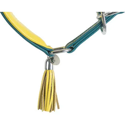 Image de Trixie Collier en cuir ACTIVE Comfort pour Greyhounds - petrol/yellow
