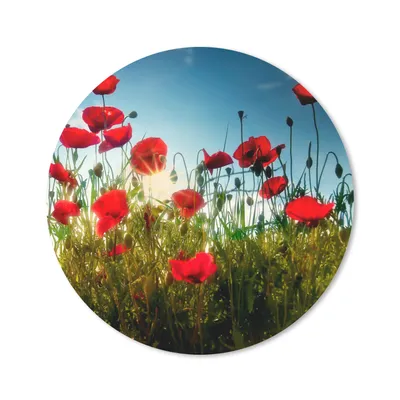 Produktbild von MuchoWow® Mauspad Mousepad Mohnblumen - Toskana - Sonne - Rot - Blau 30x30 cm - Mousepads - Maus Mat - Pad - Mausunterlage - Tischunterlage - Schreibtischmatten