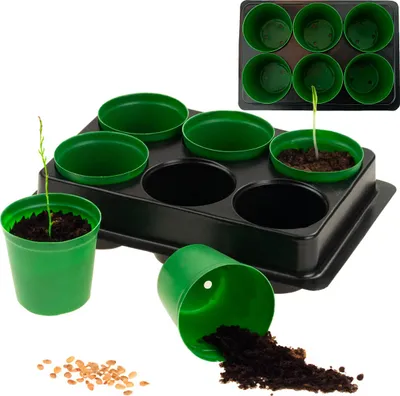 Immagine prodotto di Contenitore di produzione per piantine da semina 6 pezzi + pallet