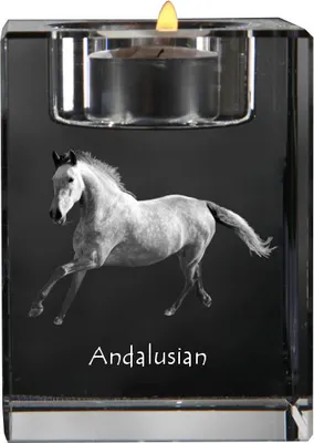 Imagen del producto de Art-Dog Portavelas para vela de té – Andaluz