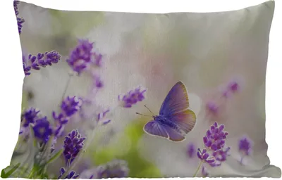 Produktbild von MuchoWow® Outdoor Kissen - Lavendel - Schmetterling - Blumen - 50x30 cm - Wetterfest - Lounge Kissen - Sofa kissen - Wohnzimmer Dekoration