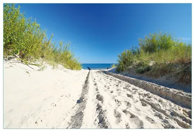 Produktbild von Wallario Küchenrückwand aus Glas, Größe: 90 x 60 cm, Motiv: Auf dem Sandweg zum Strand - Blauer Himmel über dem Meer | Spritzschutz | abwischbar | pflegeleicht | in