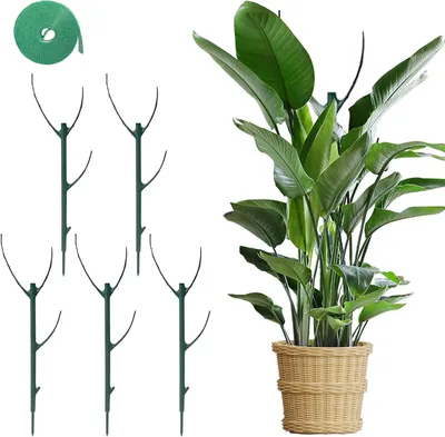Immagine prodotto di Supporti per piante in plastica, 28 cm, confezione da 5, con nastro di fissaggio da 2 metri per piante rampicanti