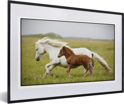 Produktbild von MuchoWow® Gerahmtes Poster Pferde - Tiere - Gras 60x40 cm - Poster mit Schwarzem Bilderrahmen Wandposter Rahmen Foto Bilder - Schlafzimmer - Plakat in Rahmen - Drucken