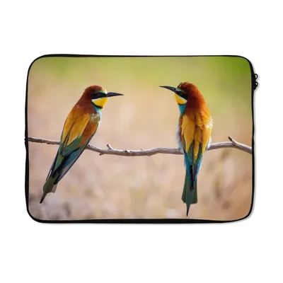 Produktbild von MuchoWow® Laptop Hülle 14 ZollVögel - Bienenfresser - Tiere Laptoptasche - Laptoptasche - Stoßsicher - Schutzhaube