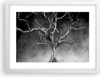Produktbild von Gerahmtes Poster - Weißer Rahmen - Schwarzweiß Äste Rauch - 40x30 cm - Wand Bild - Wanddeko - Wandbilder - Kunstposter - Wandposter - Bilderrahmen - Bilder - Kunstdruck - Wandbild - P2WAA40x30-4346