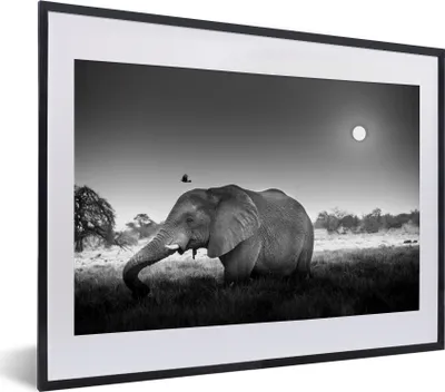Produktbild von MuchoWow® Gerahmtes Poster Sonnenuntergang über einem Elefanten im Gras - schwarz und weiß 40x30 cm - Poster mit Schwarzem Bilderrahmen Wandposter Rahmen Foto Bilder - Bilderrahmen - Poster im Rahmen