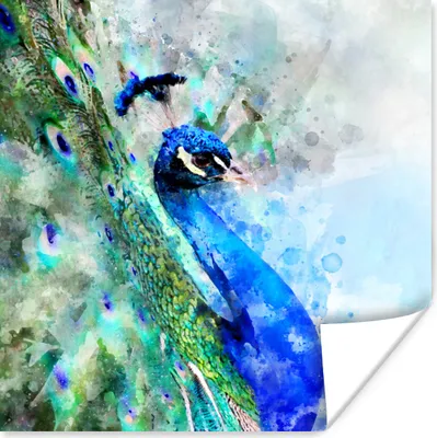 Produktbild von MuchoWow® Poster Aquarell - Pfau - Blau 30x30 cm - Wandposter - Printing