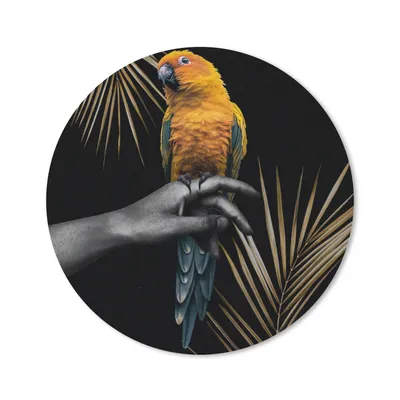 Produktbild von MuchoWow® Mauspad Mousepad Vogel - Papagei - Hand - Farn 40x40 cm - Mousepads - Maus Mat - Pad - Mausunterlage - Schreibtisch Accessoires