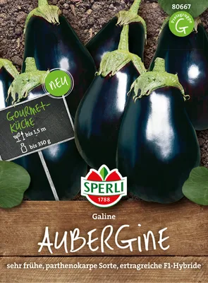 Produktbild von Aubergine Galine F1 | Auberginensamen von Sperli