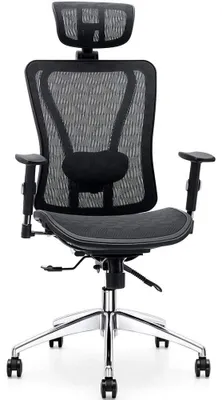 Produktbild von Ergonomischer Bürostuhl mit Verstellbarer Lendenstütze