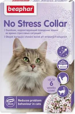 Immagine prodotto di Collare per gatti Beaphar No Stress 35 cm