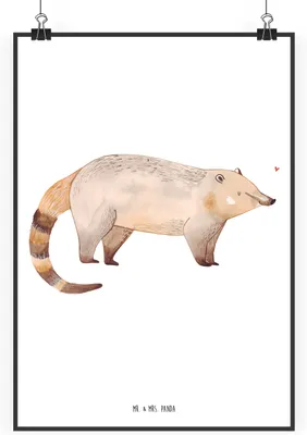 Produktbild von Mr. & Mrs. Panda Bild Nasenbär DIN A0 - Weiß - Geschenk, drucke, Bär, Nasenbären, Rüsselbär, Wandbild, Wanddekoration, Plakat, Lustige Sprüche, wanddeko