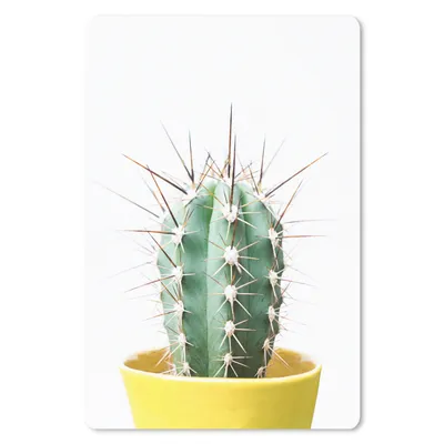 Produktbild von MuchoWow® Mauspad Mousepad Kaktus - Pflanzen - Natur - Grün 18x27 cm - Mousepads - Maus Mat - Pad - Mausunterlage