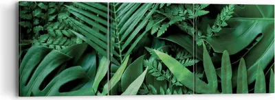 Produktbild von Bild auf Leinwand - Leinwandbild - 3 Teile - Exotisch Blätter Monstera - 90x30cm - Wand Bild - Wanddeko - Wandbilder - Leinwanddruck - Bilder - Wanddekoration - Leinwand bilder - CA90x30-4746