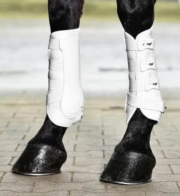Produktbild von Busse Gamaschen DRESSAGE-PRO weiß Dressurgamasche stabile Hartschale, Busse_17_Groessen:XL