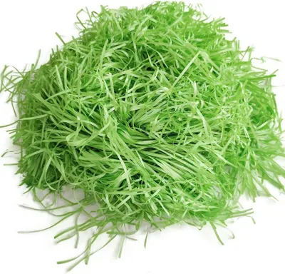 Obrázok produktu pre 200 g trávovej zmesi – zelená – materiál na dekoráciu vajíčok/darčekových košov – Veľkonočná dekorácia