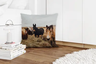Produktbild von MuchoWow® Zierkissen Sofakissen Wohnzimmer Dekokissen 45x45 cm Tiere - Pferd - Schlafpolster - Polster für das Sofa