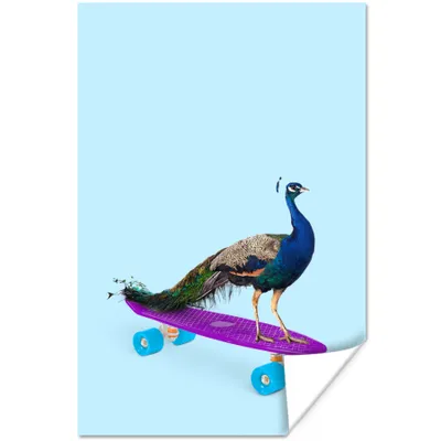 Produktbild von MuchoWow® Poster Pfau - Blau - Skateboard - Tiere - Lustig 80x120 cm - Papierdruck