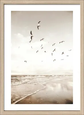 Produktbild von Gerahmtes Bild Seagulls On The Beach II 53x73 cm