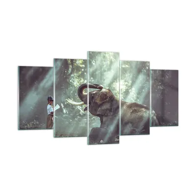 Produktbild von Bilder auf glas - Elefant Dschungel Stoßzahn - 160x85cm - Glasbilder - Wandbilder - Kunstdruck - zum Aufhängen bereit - Wanddekoration aus Glas - Glas Bilder - Wandbild auf Glas - GEA160x85-3486