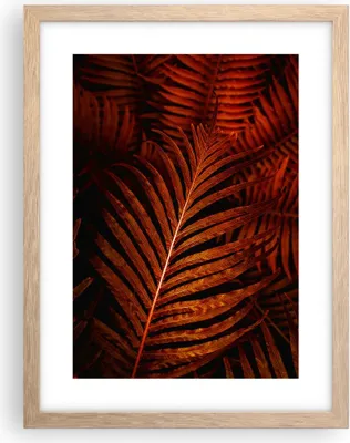 Produktbild von Gerahmtes Poster - Rahmen in heller Eiche - Rot Blätter Palmen - 30x40 cm - Wand Bild - Wanddeko - Wandbilder - Kunstposter - Wandposter - Bilderrahmen - Bilder - Kunstdruck - P2NPA30x40-4816