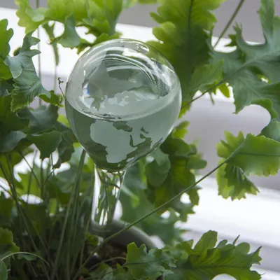 Produktbild von Esschert Design Bewässerungskugelglas