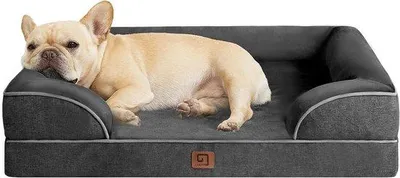 Produktbild von Orthopädisches Memory-Foam-Hundebett für kleine Hunde Memory-Foam-Hundekorb für mittelgroße Hunde Waschbares Hundesofa Wasserdichtes, rutschfestes Hundesofa mit hohem Rand