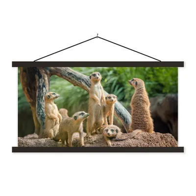 Produktbild von MuchoWow® Textilposter Erdmännchen - Familie - Tiere 60x30 cm mit schwarzem Rahmen - Textilien