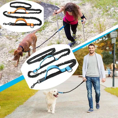 Produktbild von 2-teilige doppelt elastische reflektierende Laufleine, tragbare ausziehbare Hundeleine, Hundekettenleine